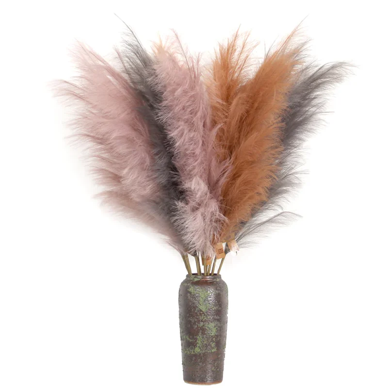 Pampa Grass Large Fluffy